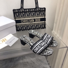 Christian Dior Slippers